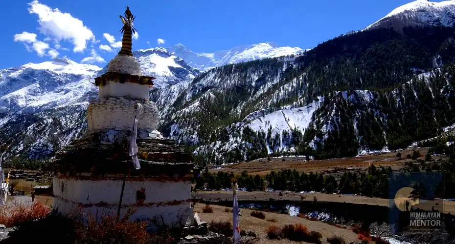 Beautiful Chorten and snowfall 