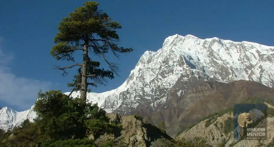 Annapurna III Himalaya seen from on the way to Tilicho lake