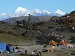 Bhutan Druk Path Trek