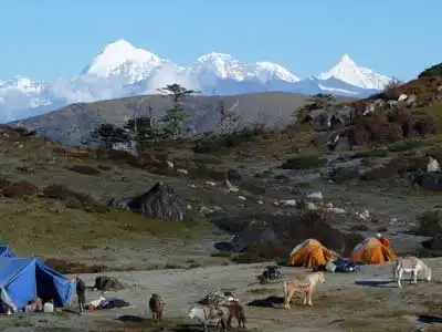 Bhutan Druk Path Trek Bhutan Druk Path Trek