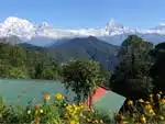 Day Hike to Australian Camp - Dhampus Village