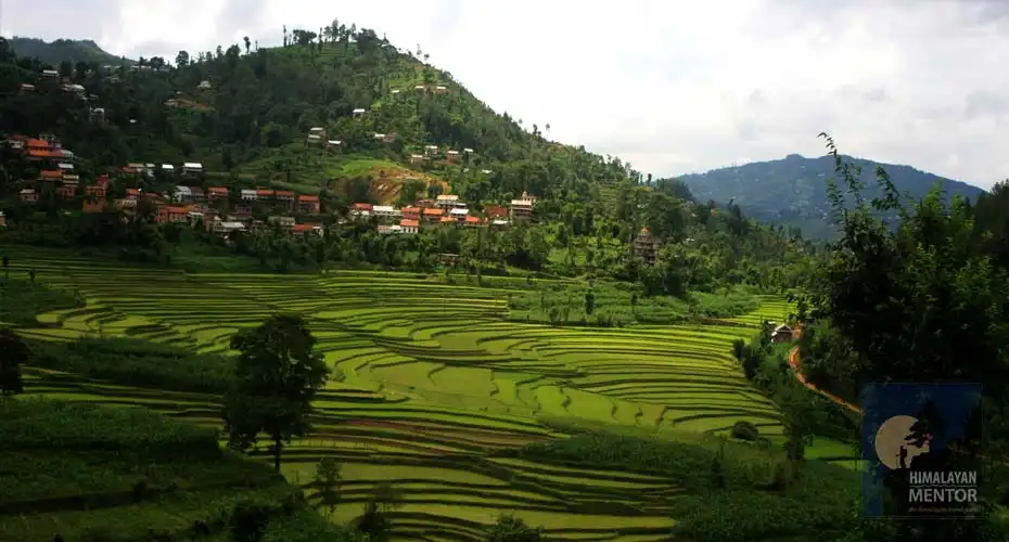 Beautiful Balthali village during August