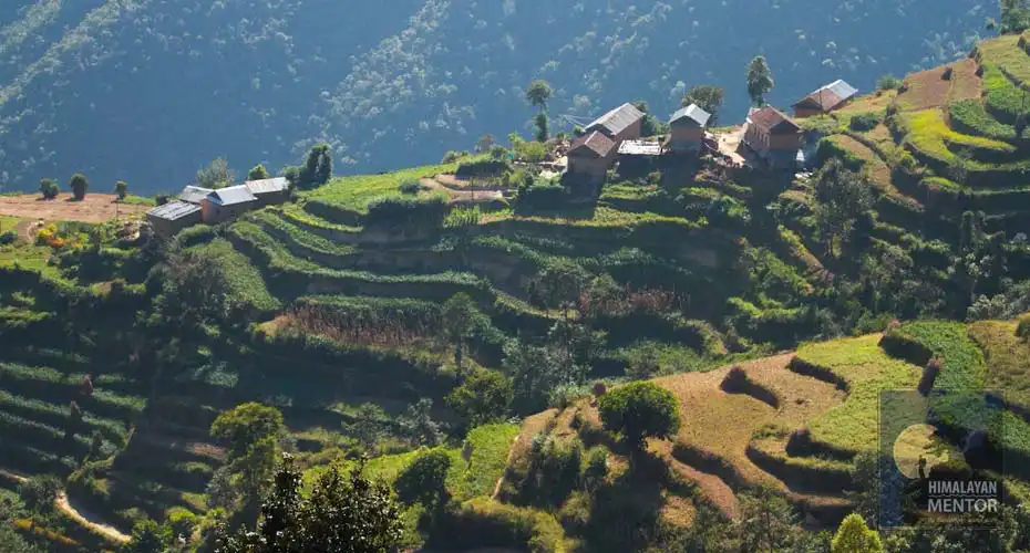 Beautiful terrace seen while downhill hiking to Changunarayan Temple