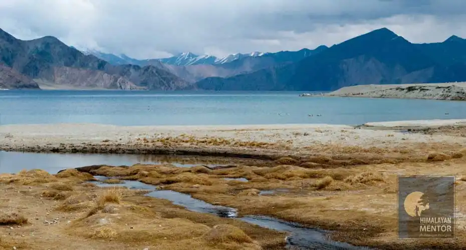 Pangong Tso Lake