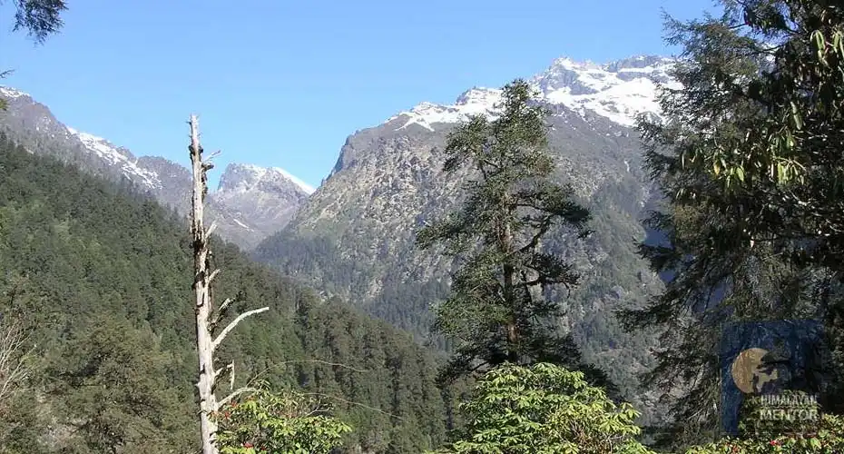 The mountain around Helambu village