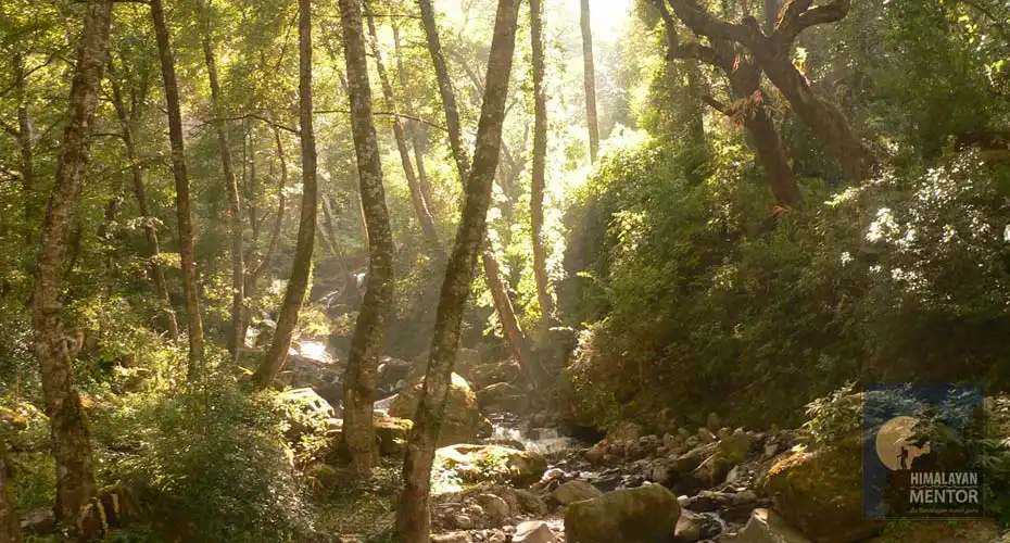 Beautiful journey through the stream to Langtang valley