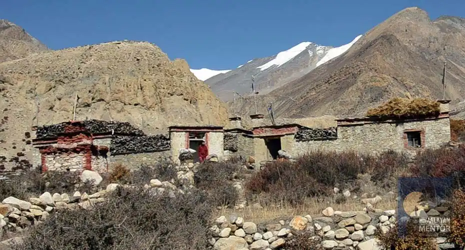 Local houses nearby Nar village