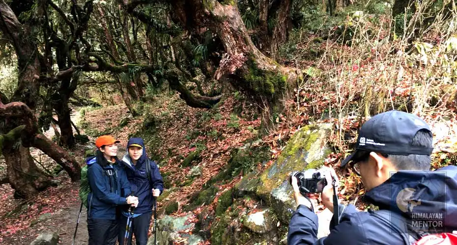 Nature photography during an easy trek to Ghorepani Poon Hill