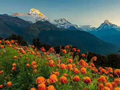 Annapurna luxury lodge trekking Annapurna luxury lodge trekking