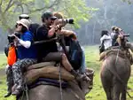 Chitwan Sightseeing
