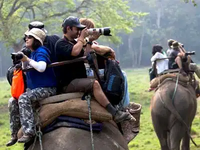 Chitwan Sightseeing Chitwan Sightseeing