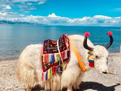 Lhasa and Namtso Lake Tour Lhasa and Namtso Lake Tour