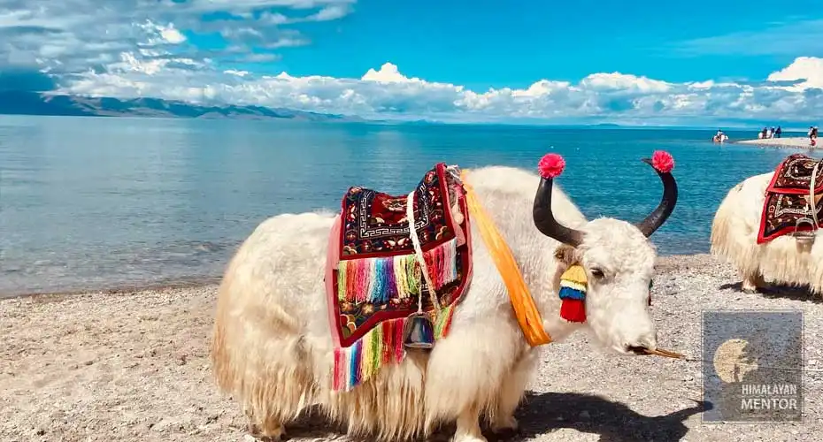 Namtso Lake which is one Tibet's most sacred lakes!