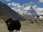 Tibet Everest Base Camp Trek