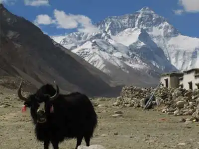 Tibet Everest Base Camp Trek Tibet Everest Base Camp Trek
